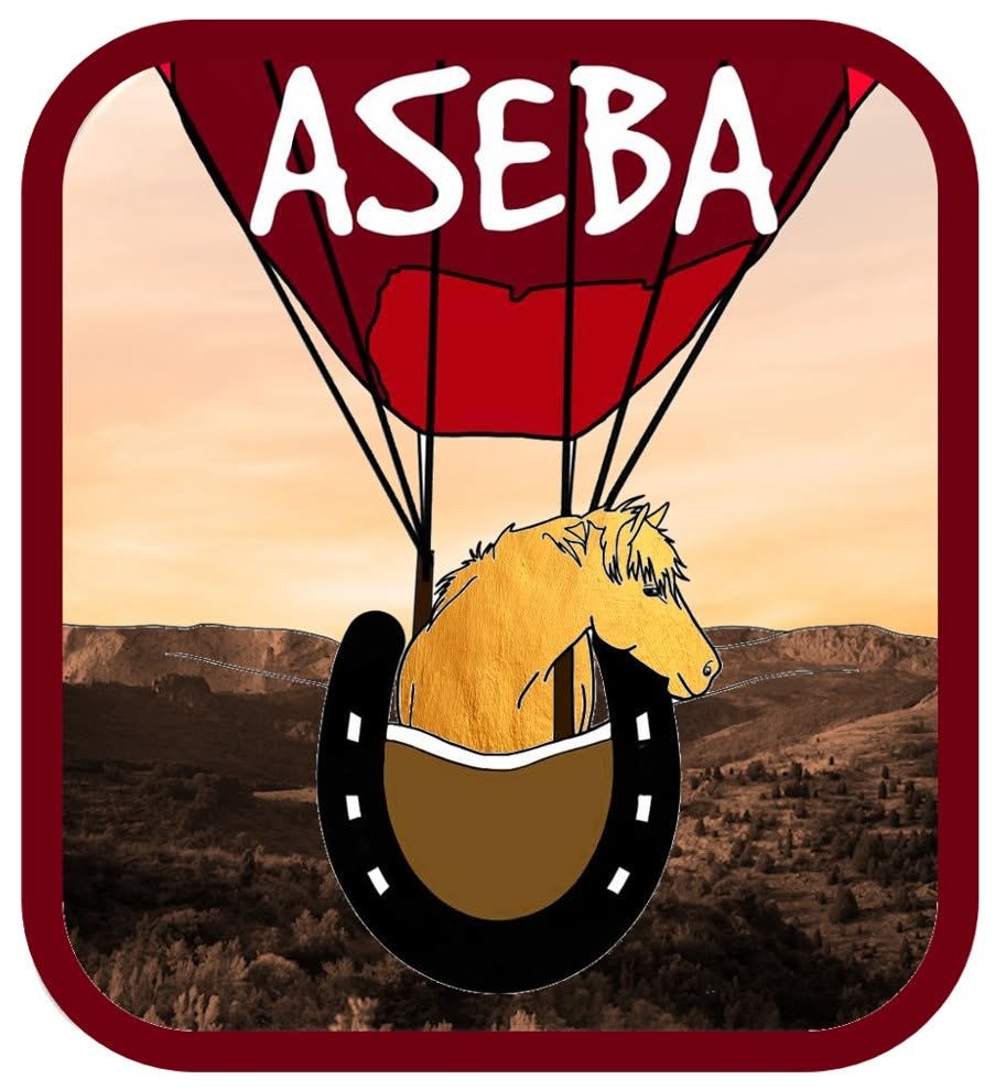 Asso Aseba