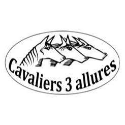 Cavaliers 3 allures