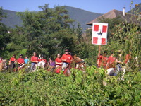 Société Hippique Rurale de Savoie