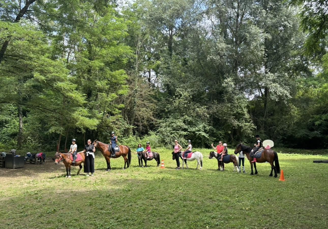 Association Prestige Poneys