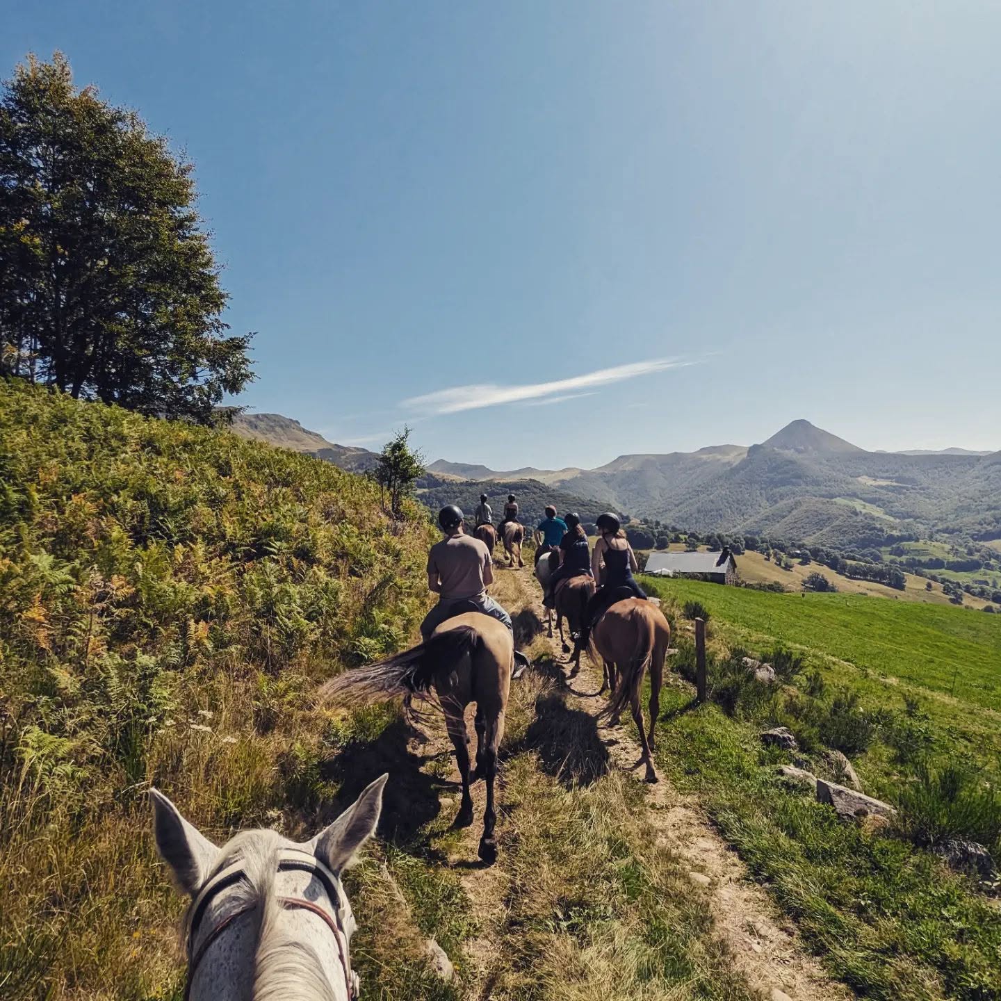 Cantal Equilibre