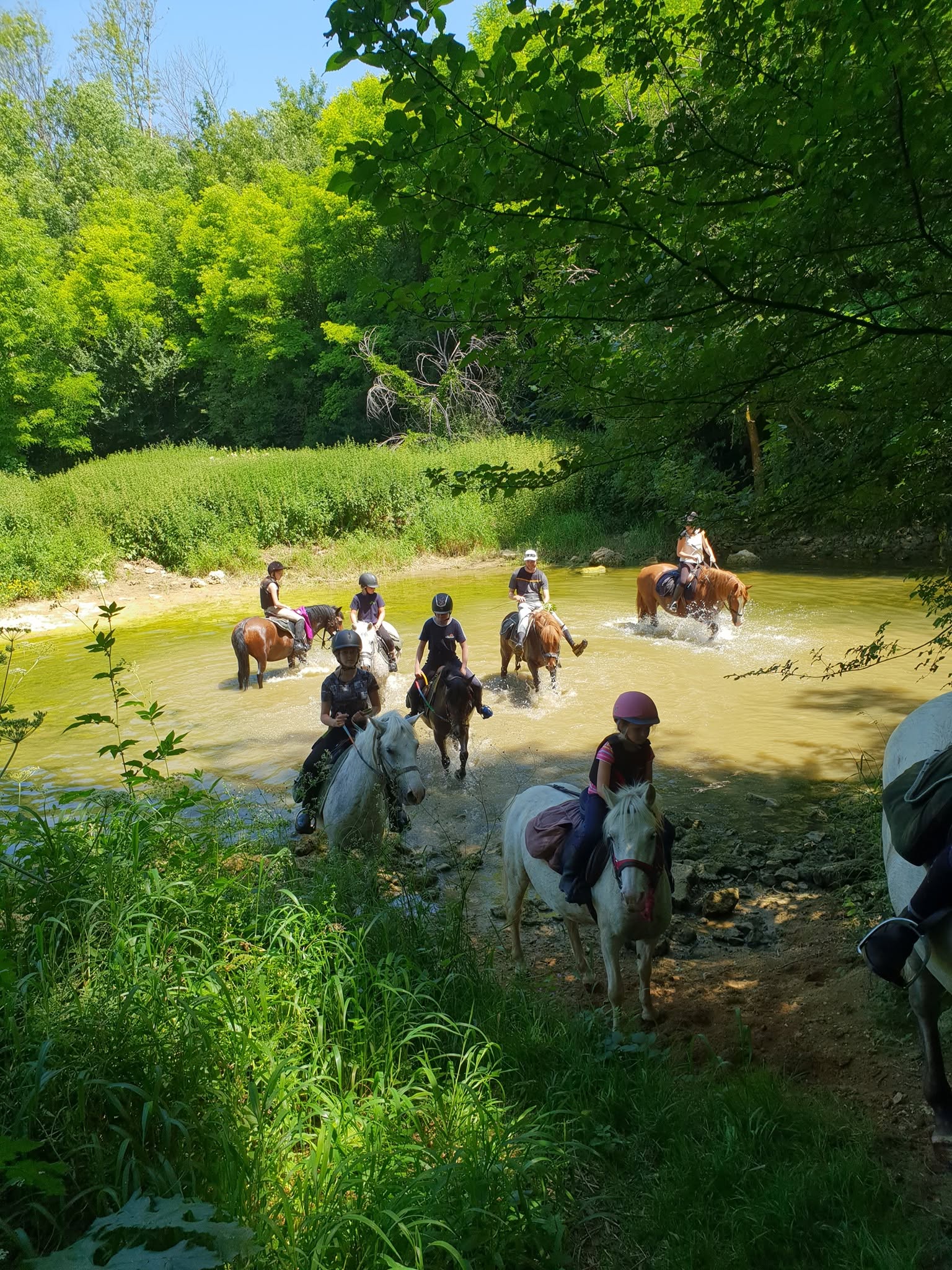 Cheval Bugey