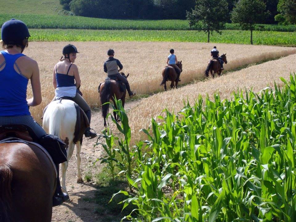 Club Hippique de Pollionnay