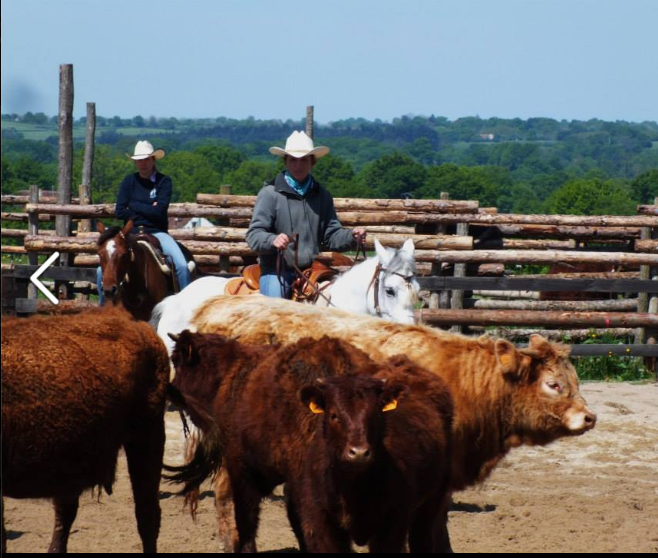 Country Pony Ranch