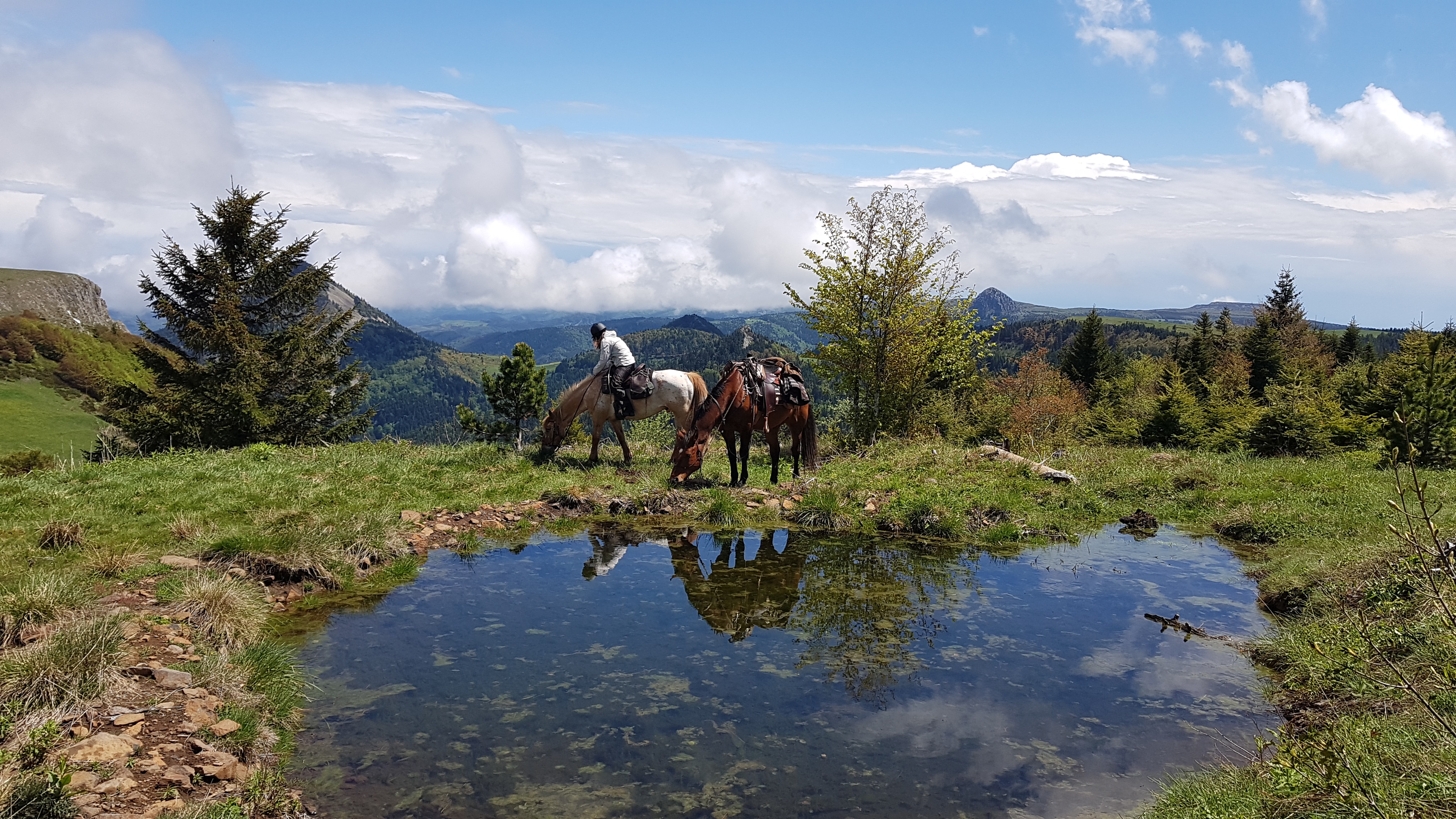 Domaine de Viaye