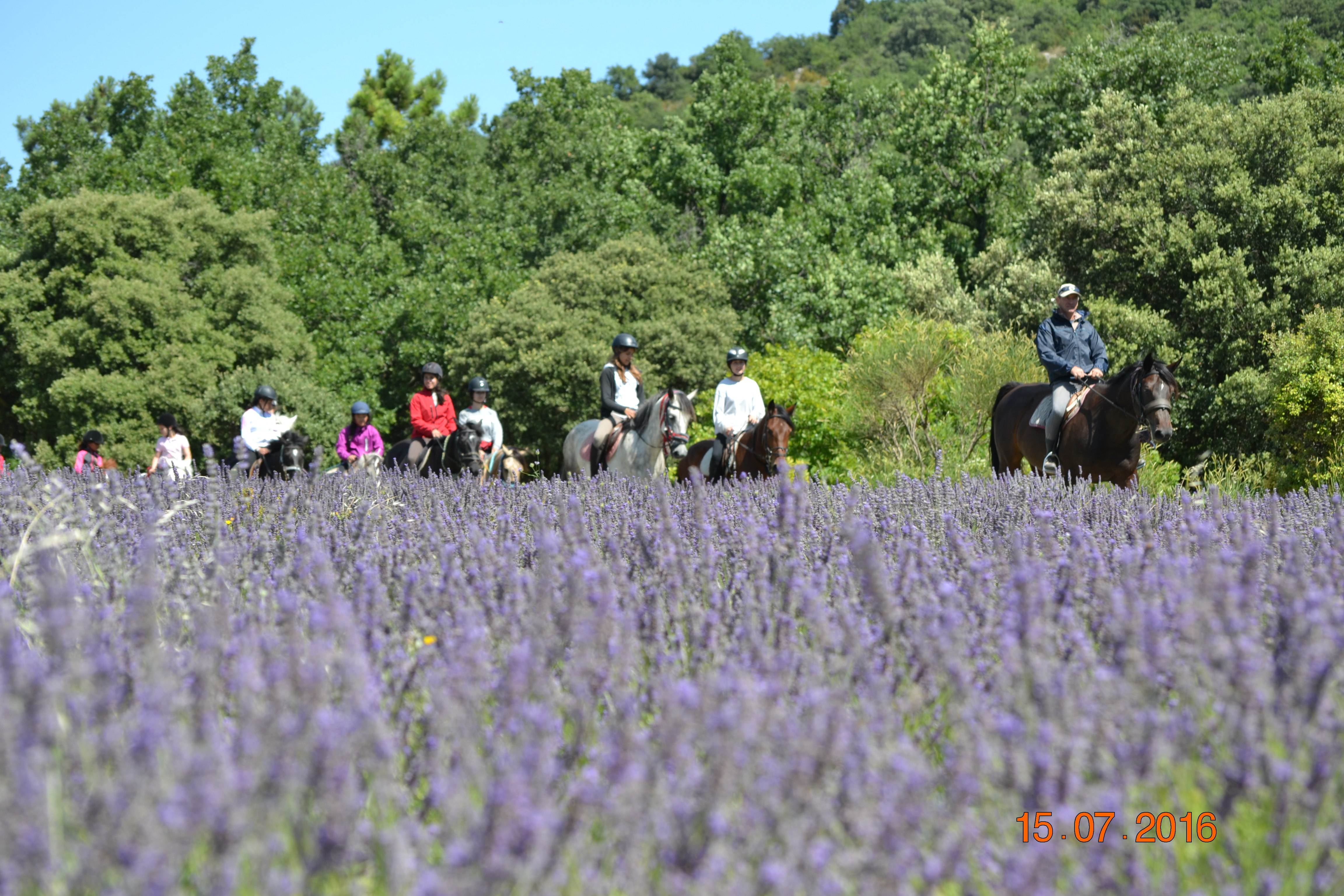 Domaine équestre du Moulin