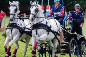 Dreuille Attelage