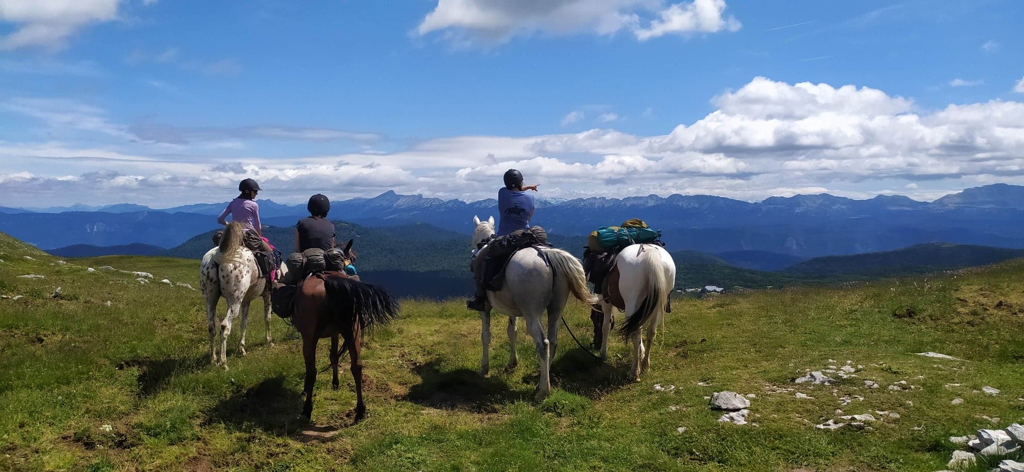 Equi Libre des Eygauds