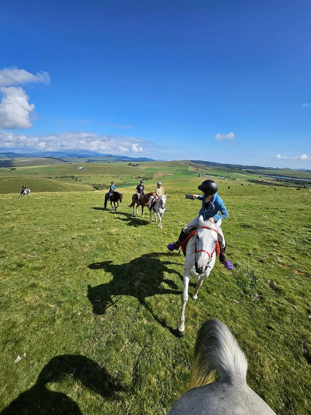 Equi Nature