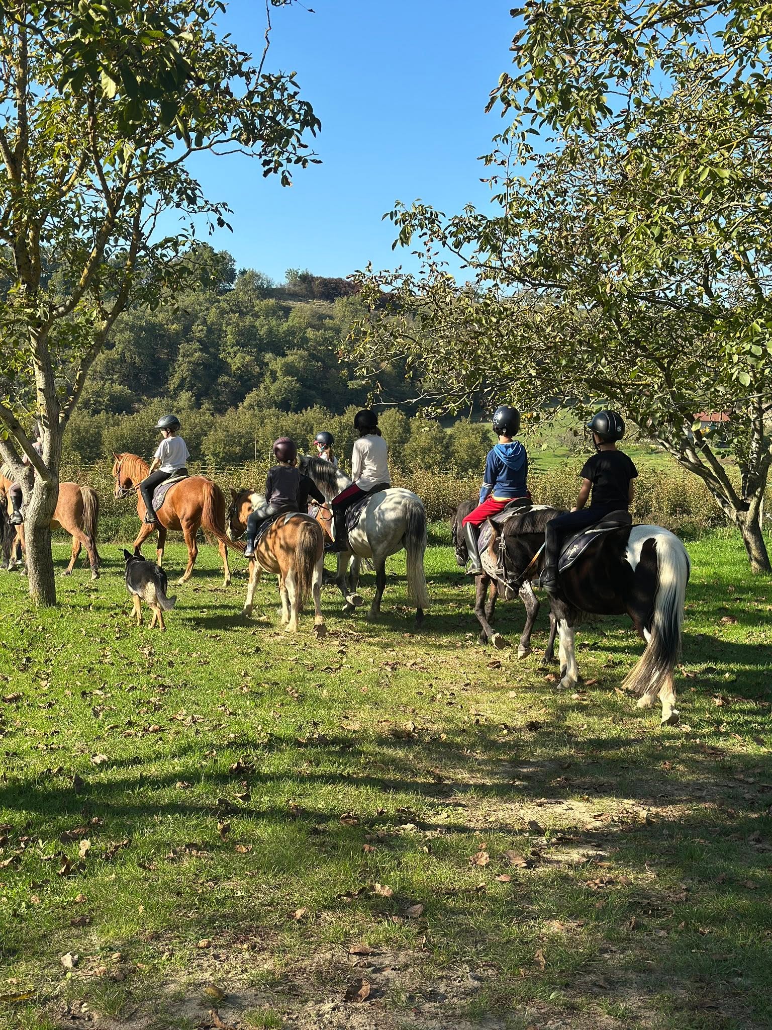 Équitation Romanaise