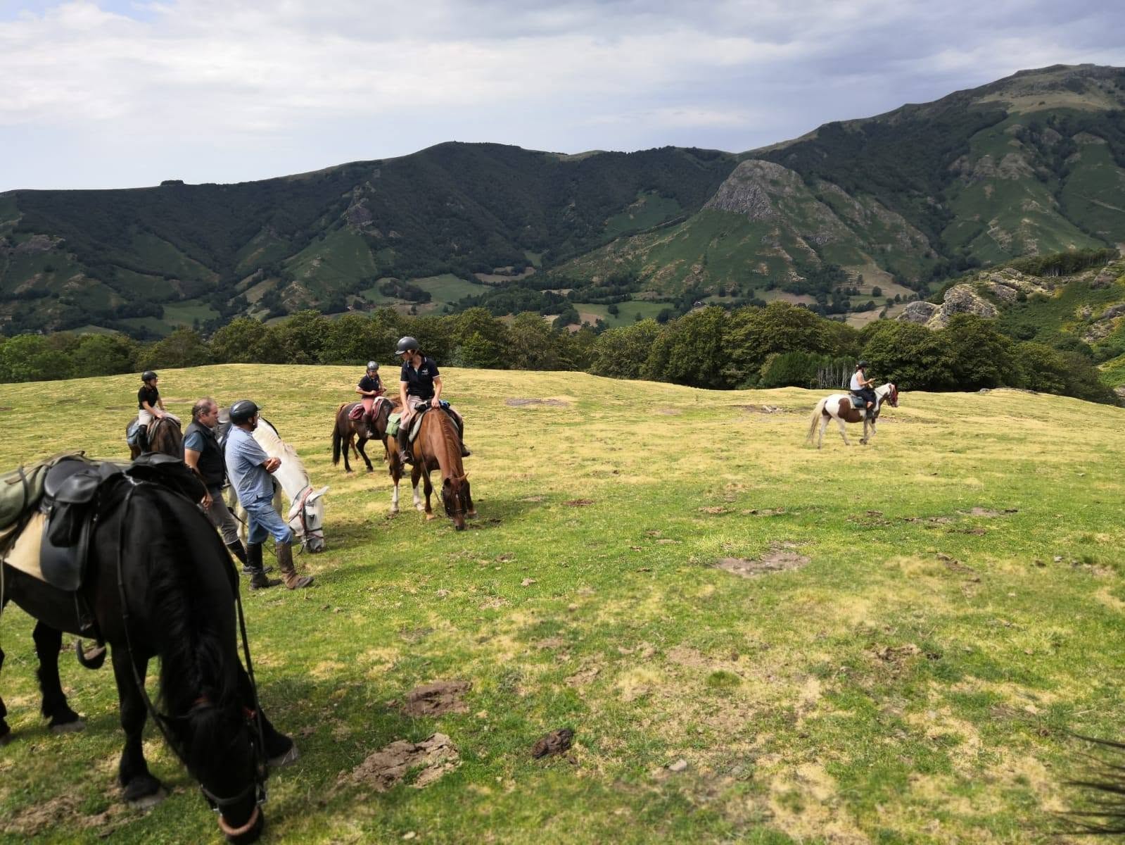 Ferme équestre Cheval Découverte