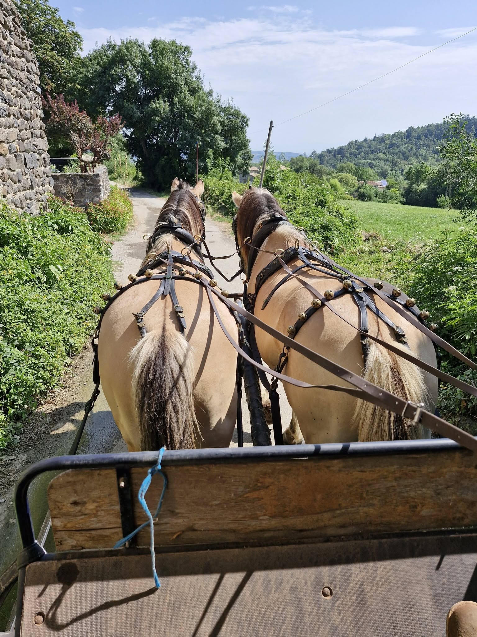 Ferme Équestre de Fermenas