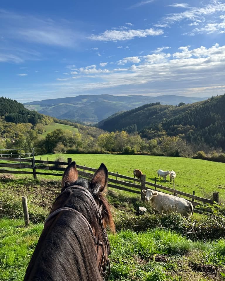 Ferme équestre de la Vieille route