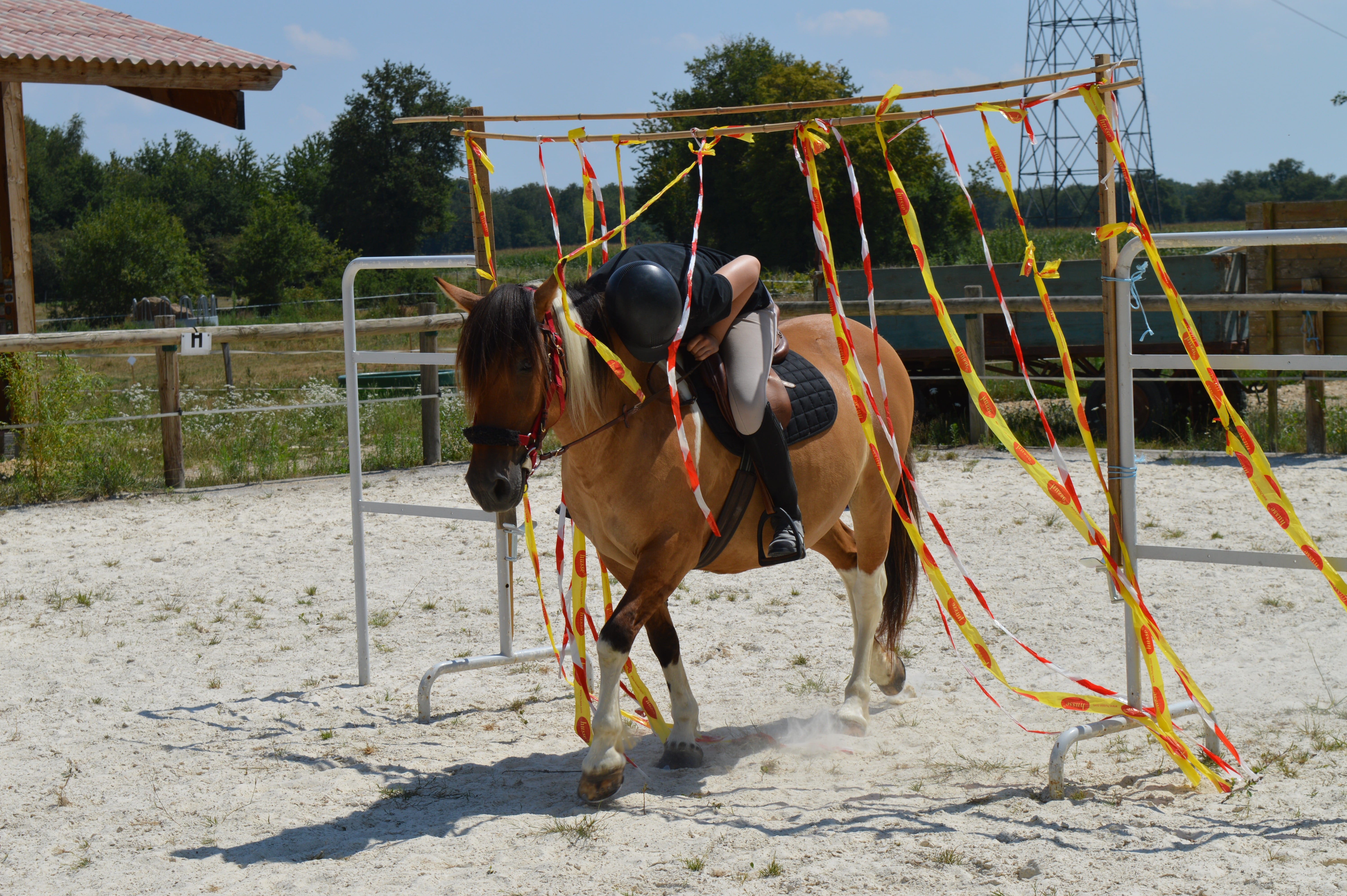 Ferme Passion