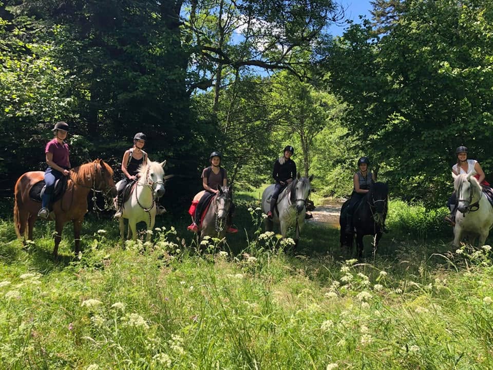Forez à cheval - Ferme équestre