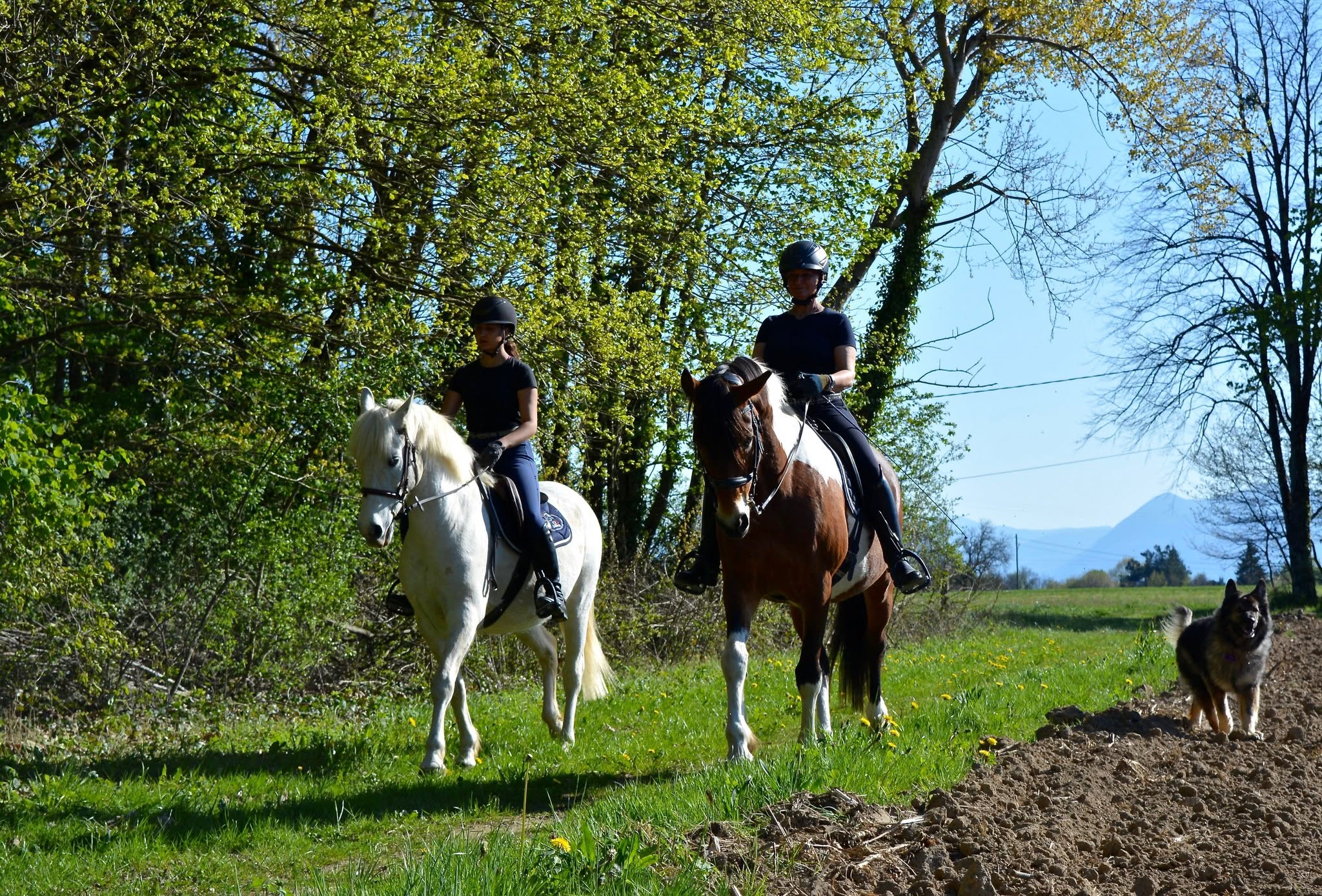 La Cavalcade