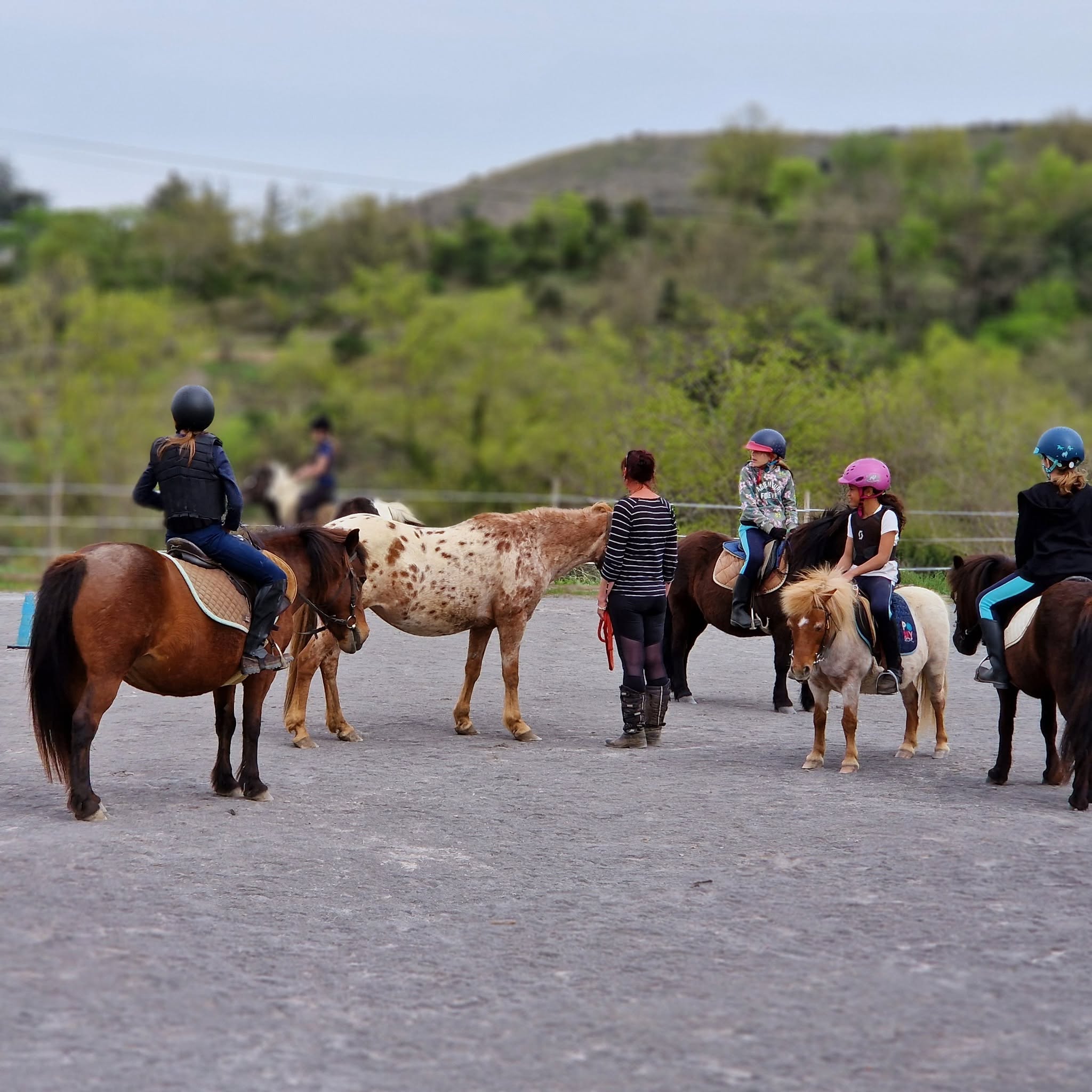 La Cavalerie des Côtes