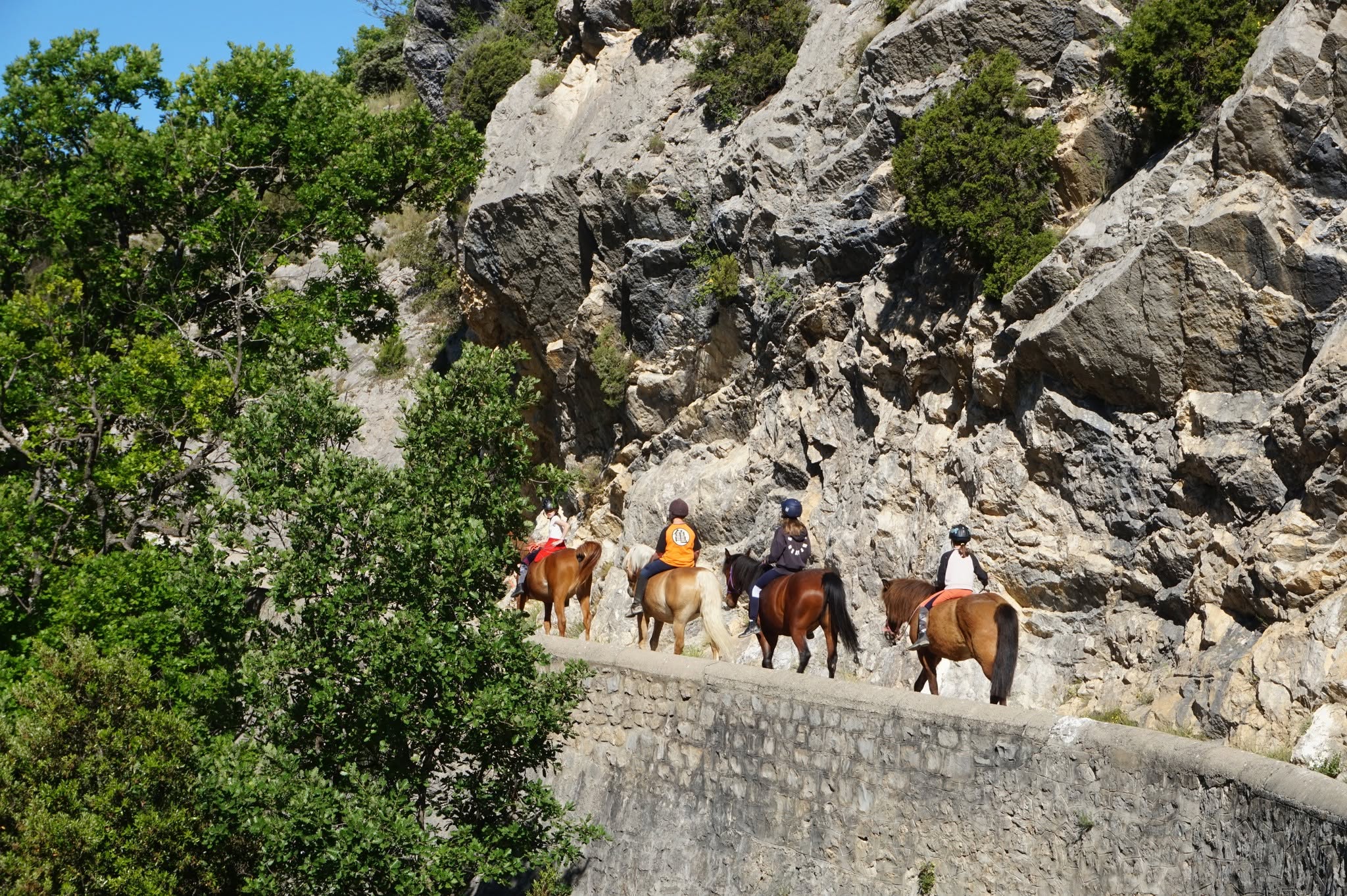 La Centaurée