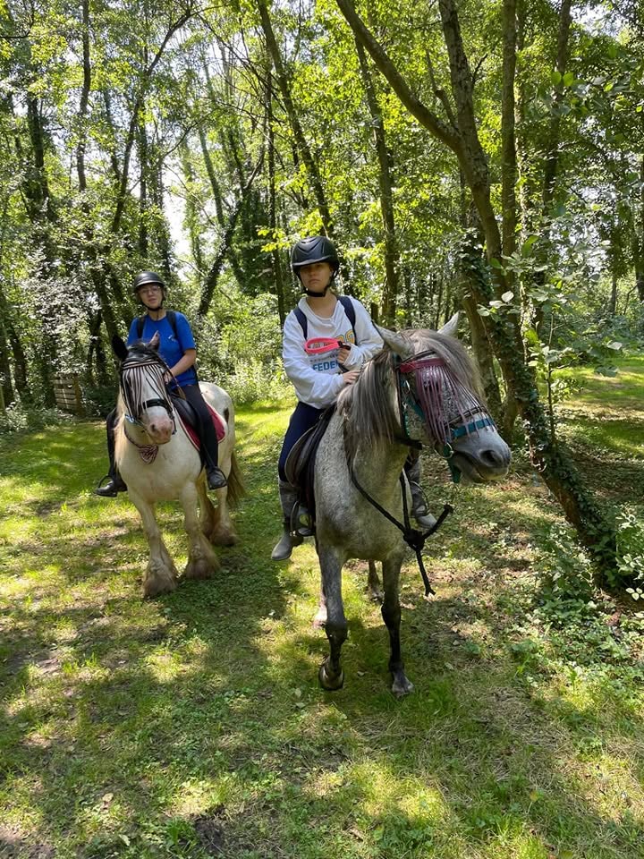 La Licorne Bleue