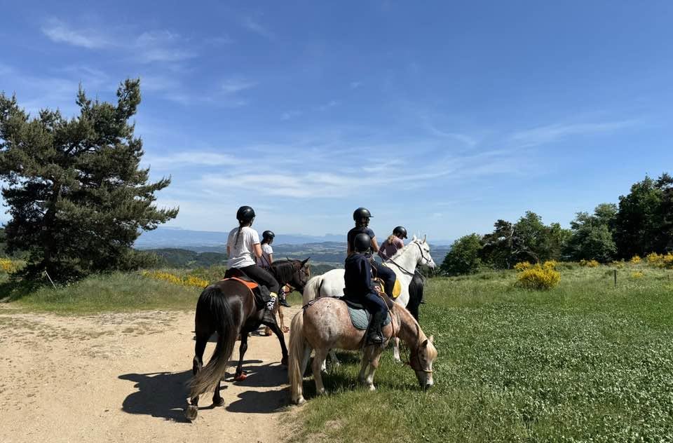 La Maison des Poneys