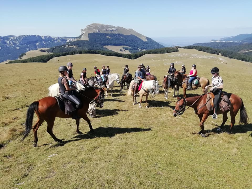 La Poneyterie