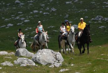 Le Vercors à cheval