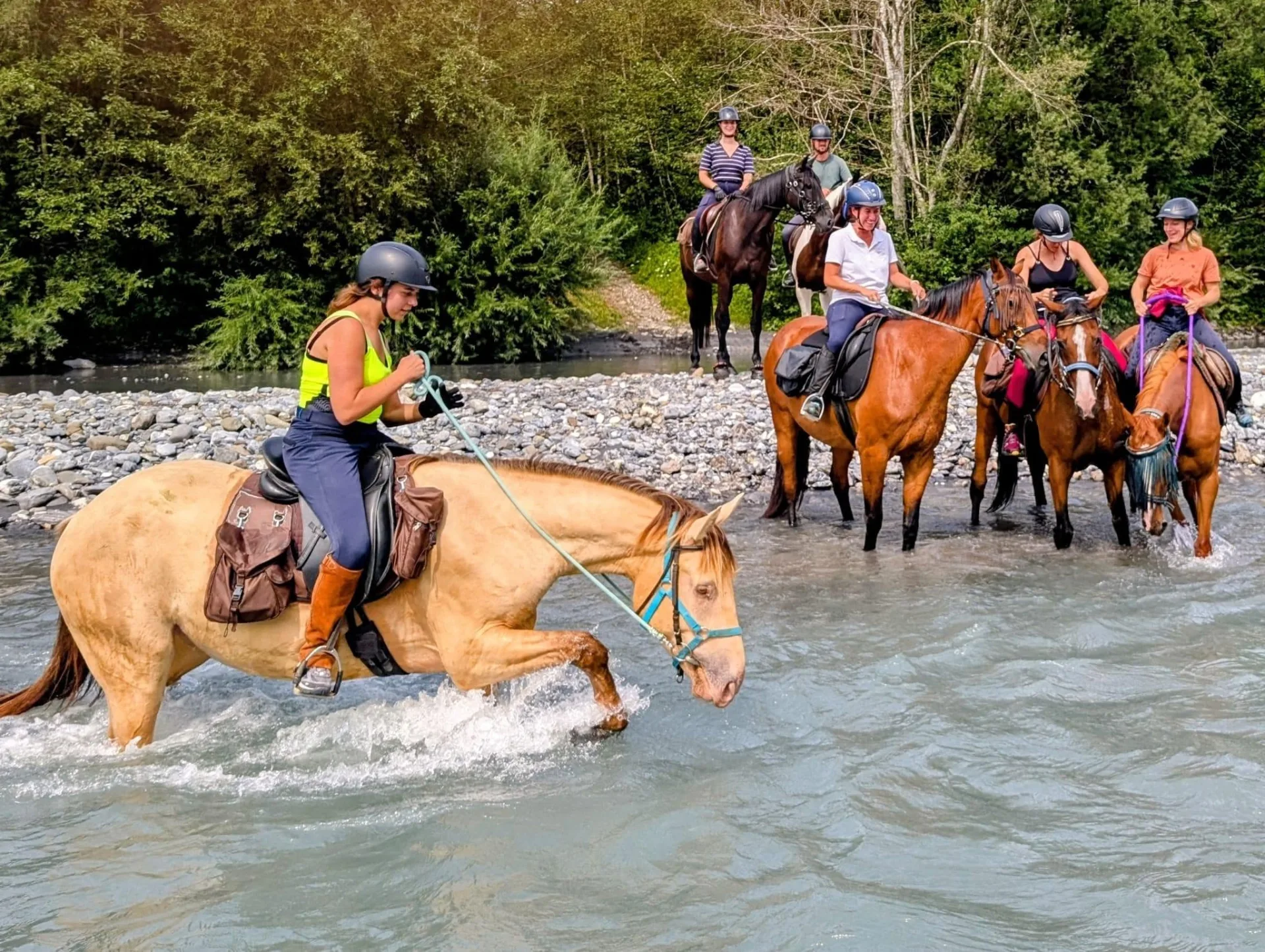 Les amazones, écurie active