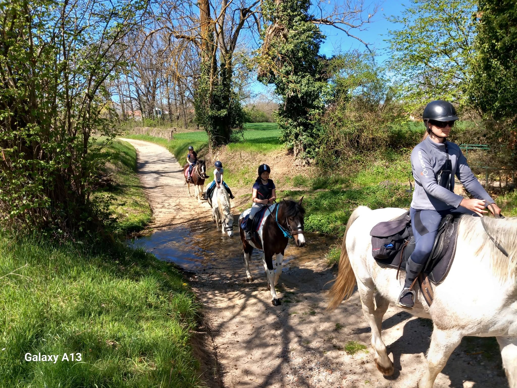 Les Chevaux de la Plaine