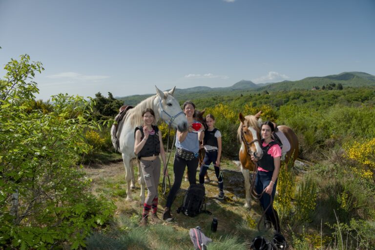 Les Chevaux des Bisettes