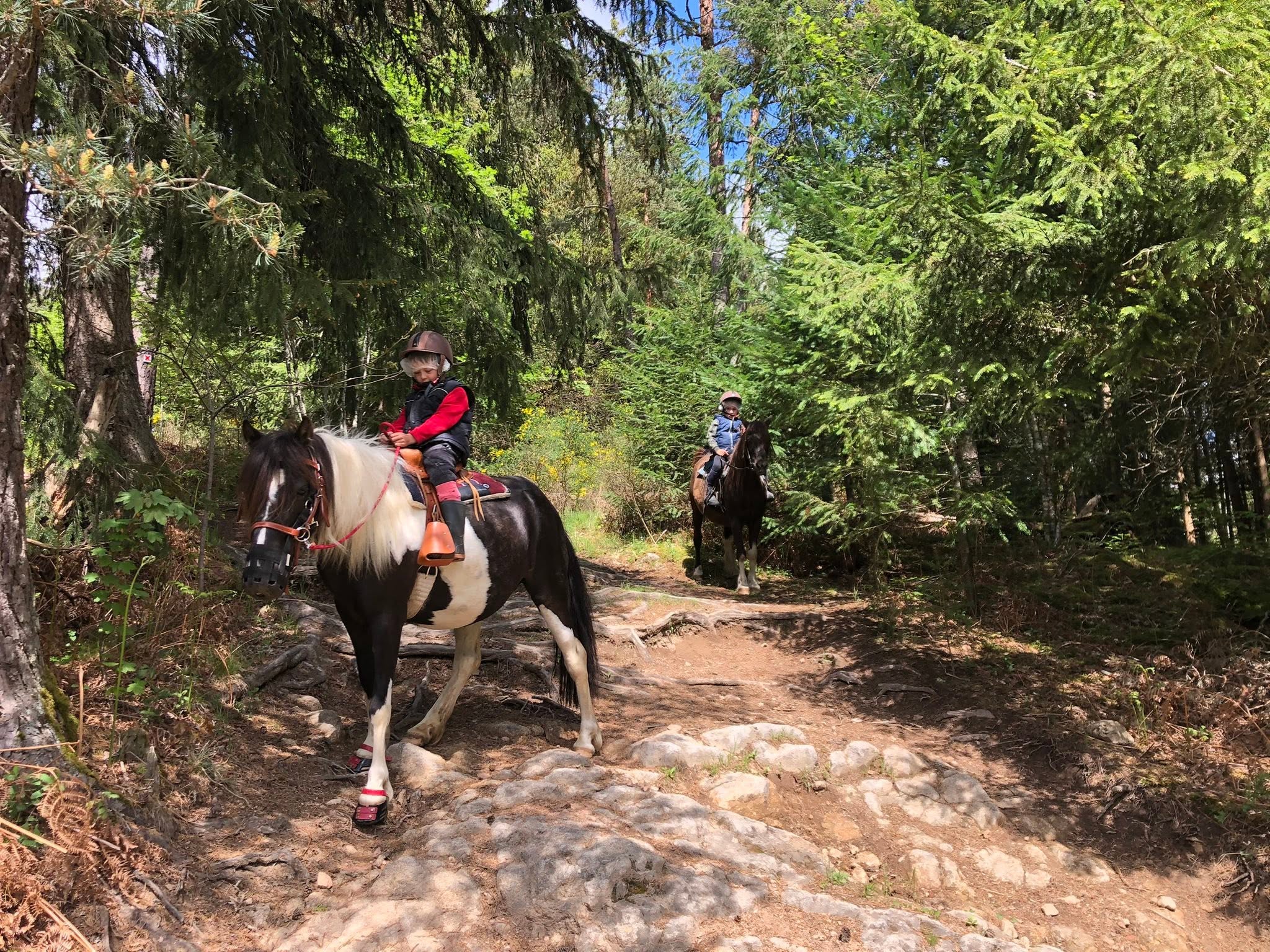 Les chevaux du Clos de la Gardille