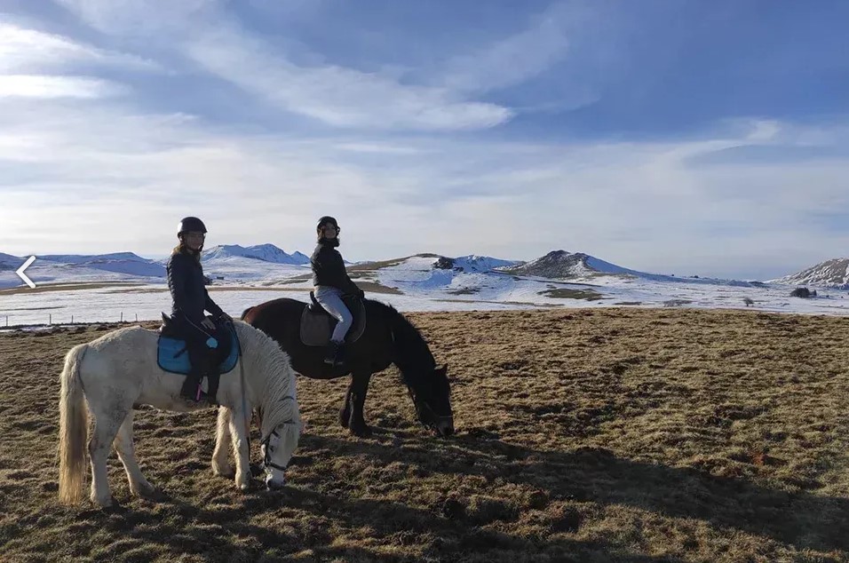 Les Galopins du Sancy