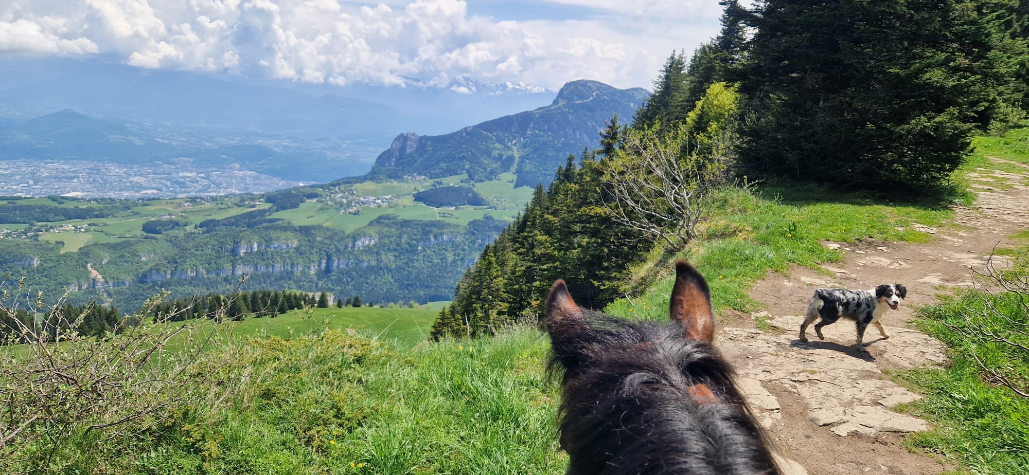 Les Poneys de la Durme