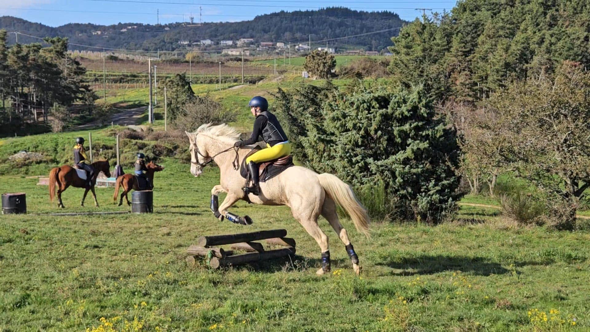 Les Poneys d'Éole