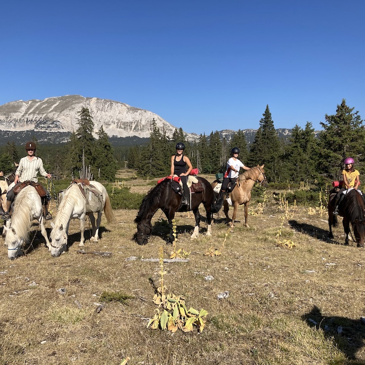 Parole de Cheval