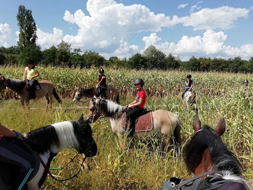 Poney Club Du Leman