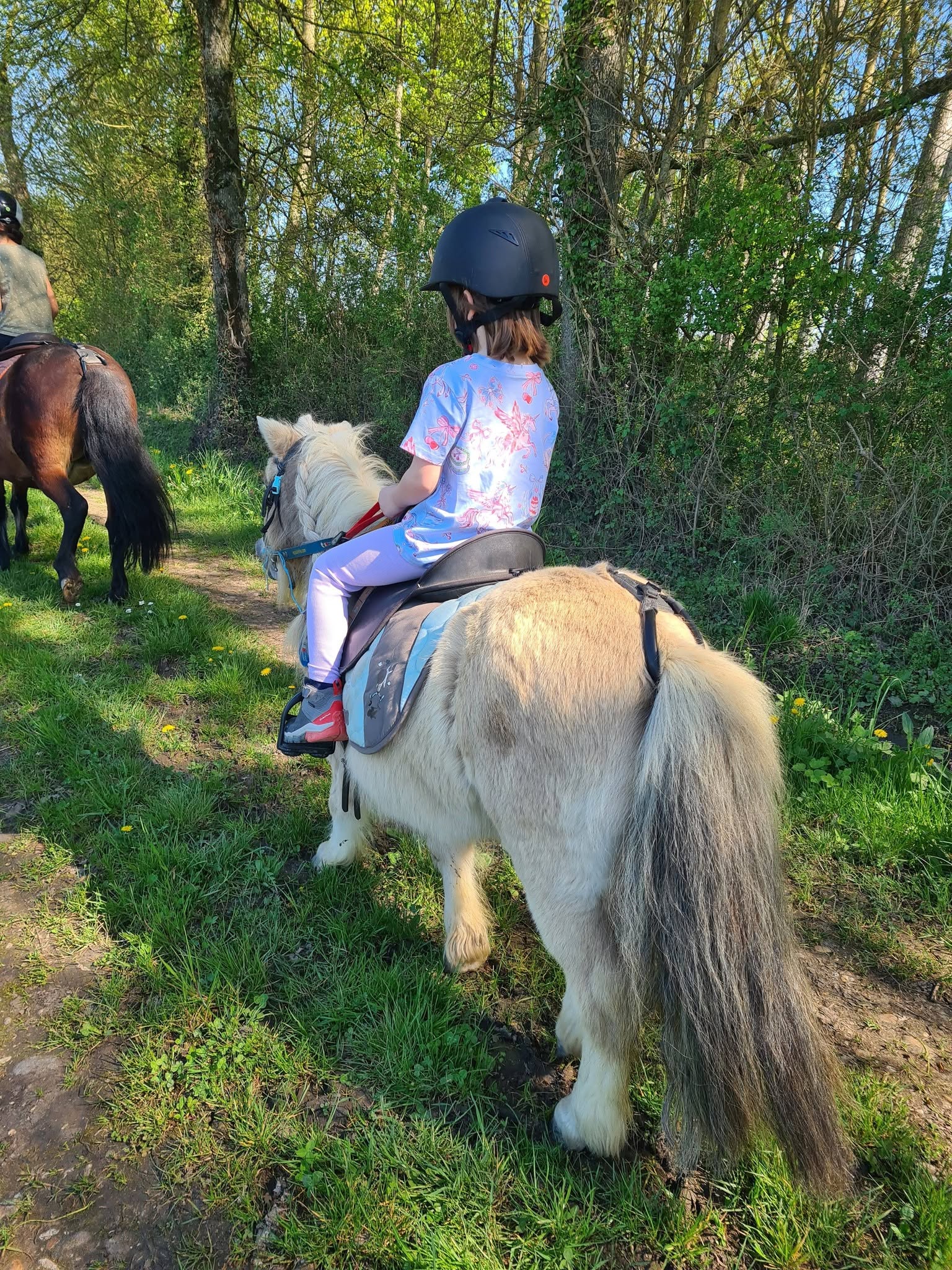 Pony Veyle