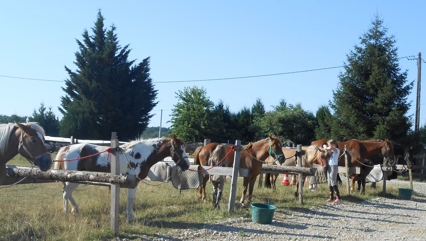 Camping à la Ferme Épona