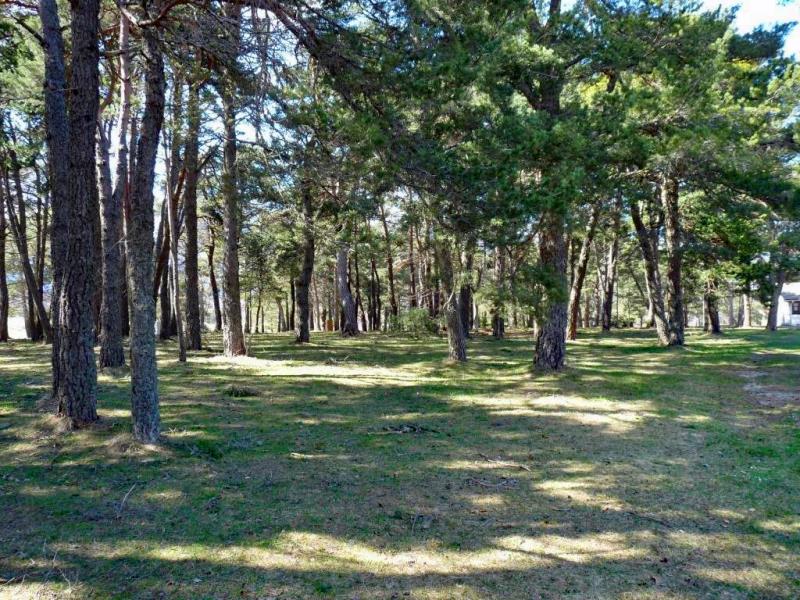 Camping les Pins