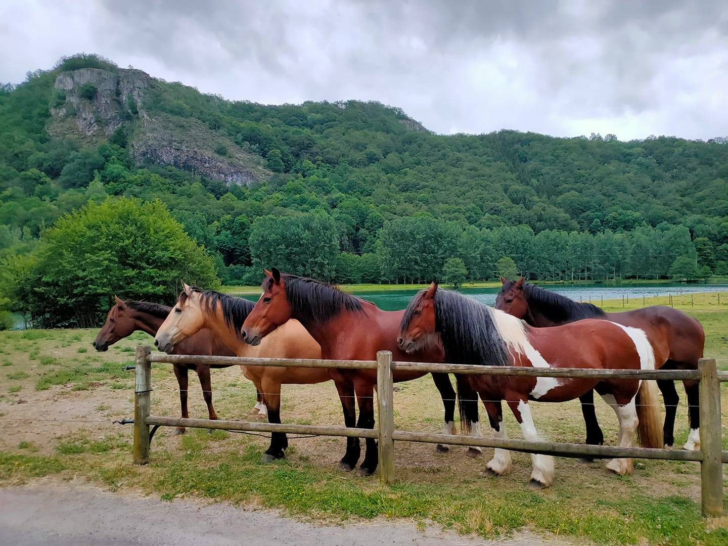 Cantal équilibre