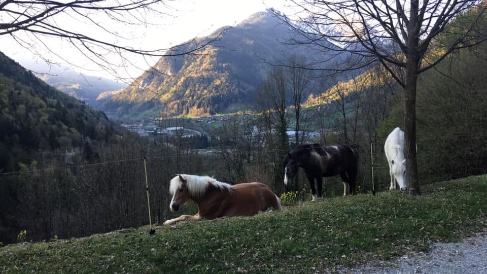 Centre Equestre de Thones