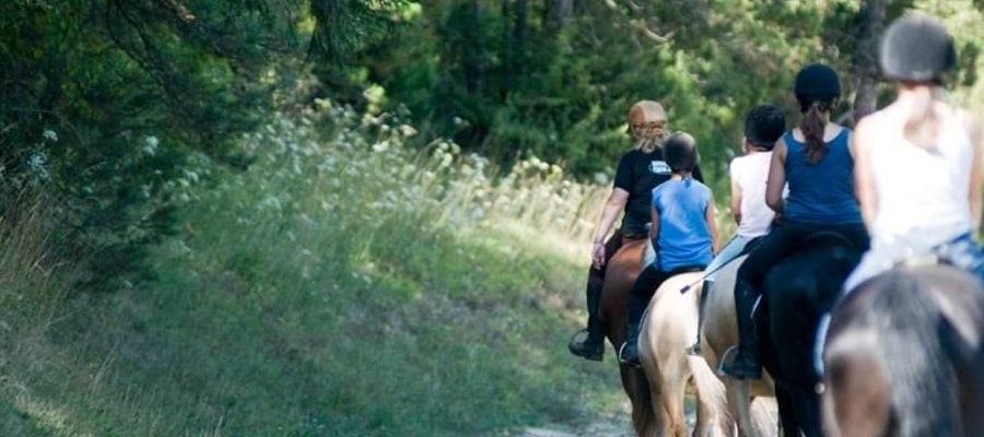 Centre Hippique Belley – Arbignieu