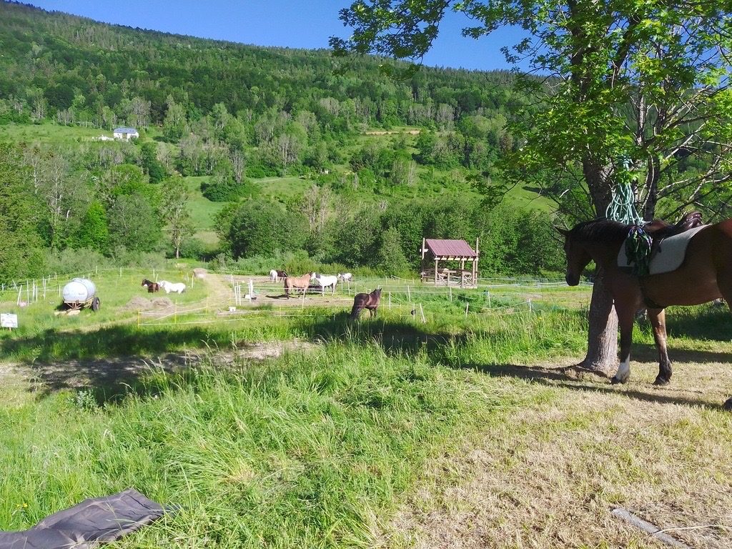 Chalet Louis Marchand
