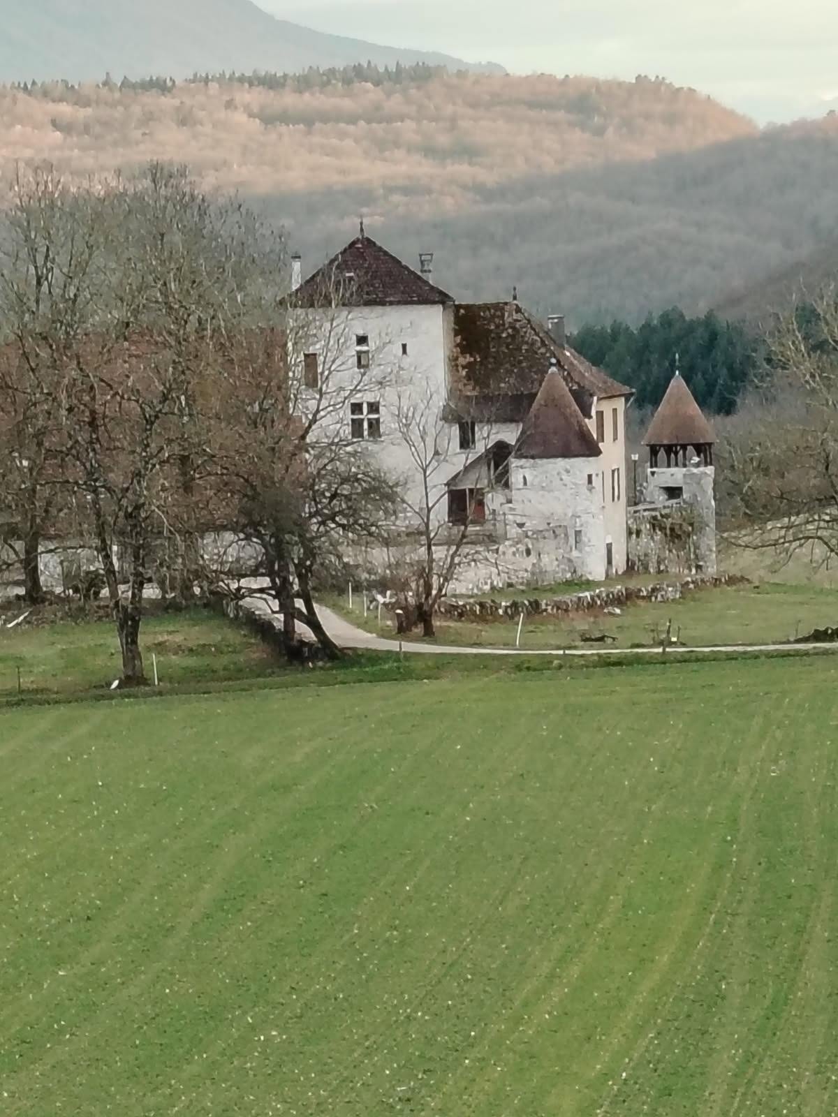 Château de Pomboz