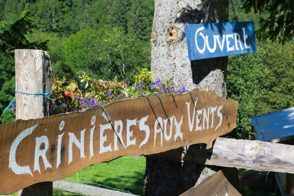 Crinières aux vents