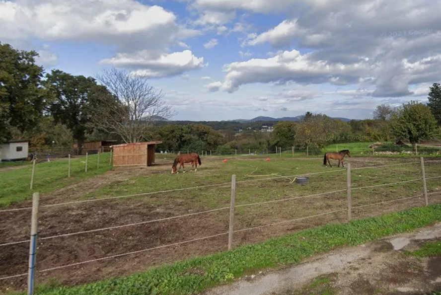 Europoneys