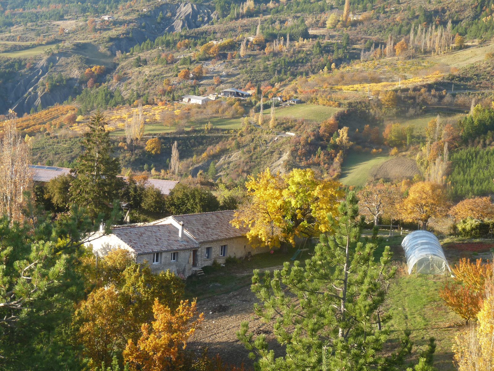 Ferme de Pierre Vieille