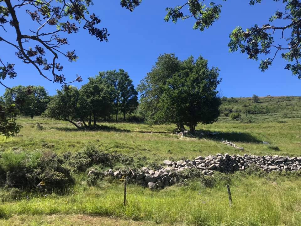 Ferme de Rochebesse