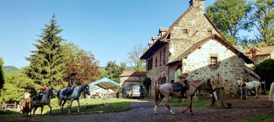 Ferme Equestre Cheval Découverte