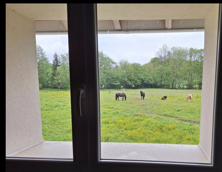 Gîte 2 pieds 4 pattes