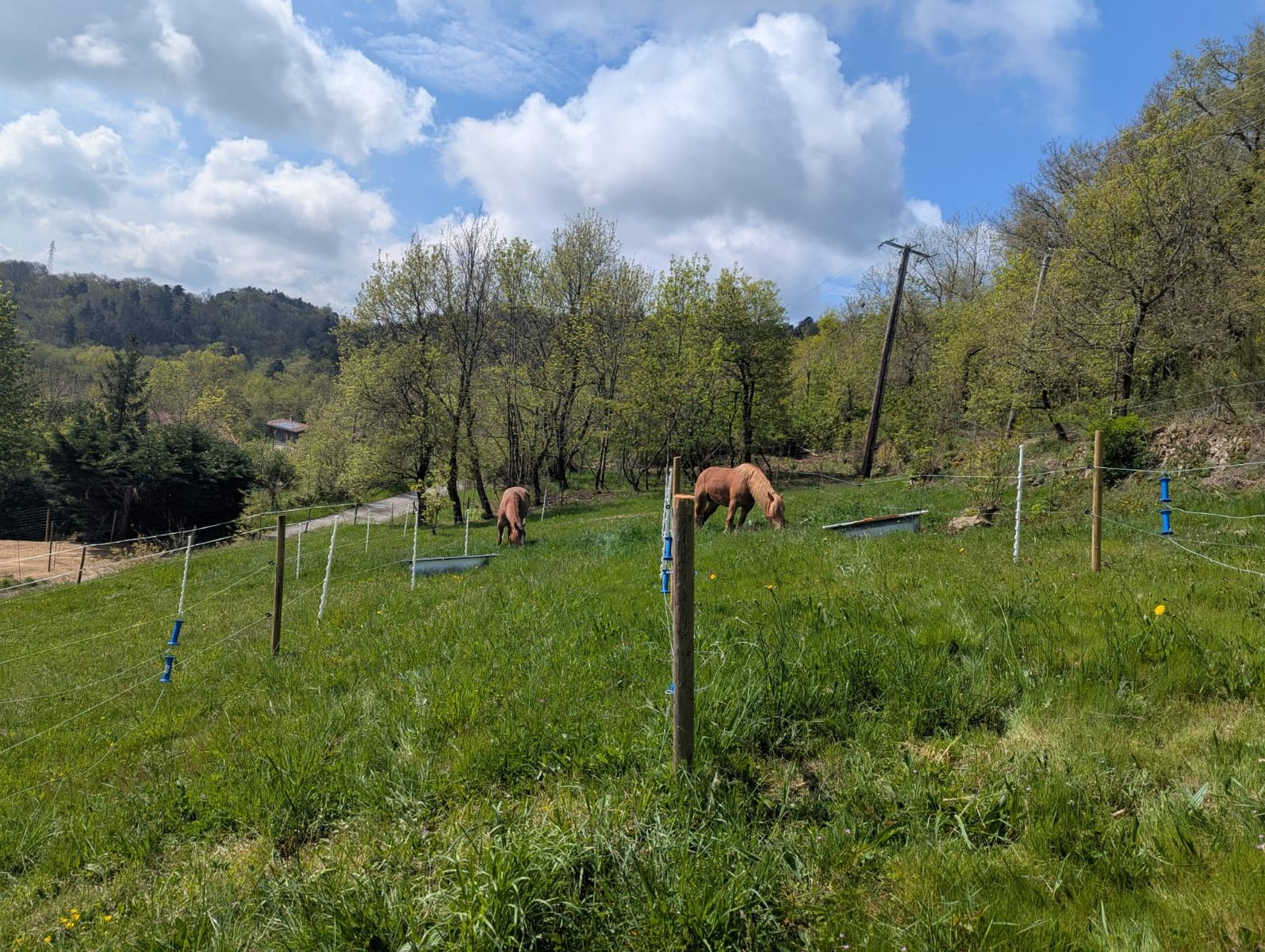 Gîte la vie est belle